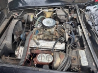 1978 Chevrolet Corvette for sale in Michigan (ID-156266)