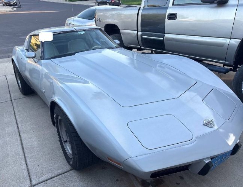 1978 Chevrolet Corvette for sale in Michigan (ID-163304)