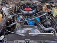 1978 Chevrolet El Camino for sale (ID-109444)