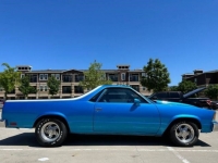 1978 Chevrolet El Camino for sale in Michigan (ID-116294)