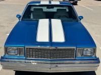 1978 Chevrolet El Camino for sale in Michigan (ID-116294)