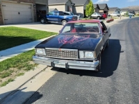 1978 Chevrolet El Camino for sale in Michigan (ID-120695)