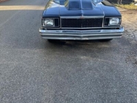 1978 Chevrolet El Camino for sale in Michigan (ID-135067)