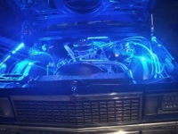 1978 Chevrolet El Camino for sale in Michigan (ID-135530)