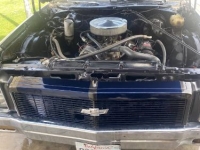 1978 Chevrolet El Camino for sale in Michigan (ID-139620)