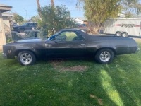 1978 Chevrolet El Camino for sale in Michigan (ID-139620)
