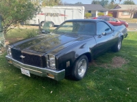 1978 Chevrolet El Camino for sale in Michigan (ID-139620)