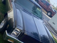 1978 Chevrolet El Camino for sale in Michigan (ID-139620)