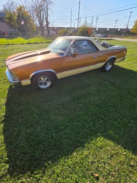 1978 Chevrolet El Camino for sale in Michigan (ID-164135)