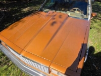 1978 Chevrolet El Camino for sale in Michigan (ID-164135)