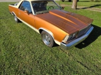 1978 Chevrolet El Camino for sale in Michigan (ID-164135)