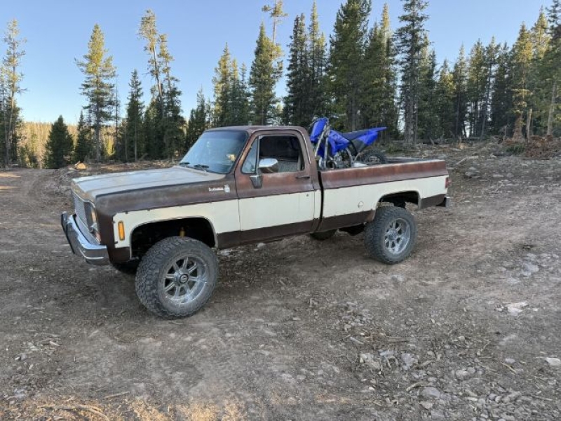 1978 Chevrolet K10 for sale in Michigan (ID-155858)
