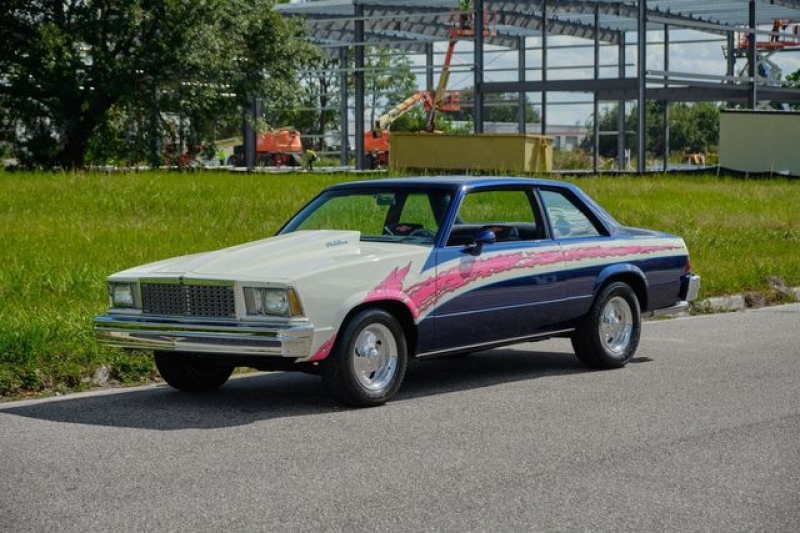 1978 Chevrolet Malibu for sale in Riverhead, New York (ID-111828)