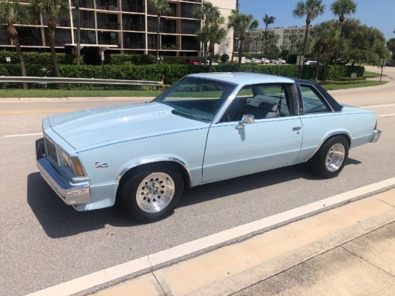 1978 Chevrolet Malibu for sale in Michigan (ID-121735)