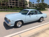 1978 Chevrolet Malibu for sale in Michigan (ID-121735)