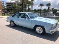 1978 Chevrolet Malibu for sale in Michigan (ID-121735)