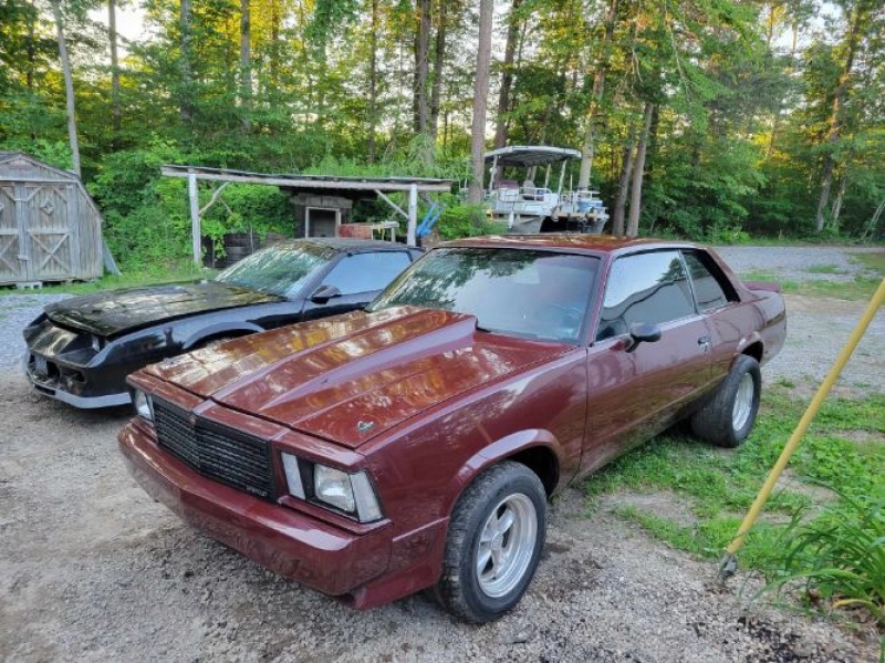 1978 Chevrolet Malibu for sale in Michigan (ID-130331) 1978 Chevrolet Malibu for sale in Michigan (ID-130331)