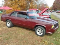 1978 Chevrolet Malibu for sale in Michigan (ID-130331)