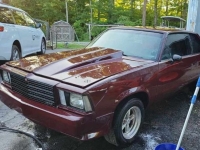 1978 Chevrolet Malibu for sale in Michigan (ID-130331)