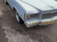 1978 Chevrolet Monte Carlo for sale in Michigan (ID-124684)