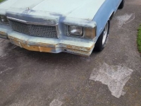 1978 Chevrolet Monte Carlo for sale in Michigan (ID-124684)
