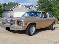 1978 Chevrolet Nova for sale in Michigan (ID-119278)