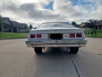 1978 Chevrolet Nova for sale in Michigan (ID-119278)