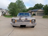 1978 Chevrolet Nova for sale in Michigan (ID-119278)