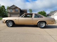 1978 Chevrolet Nova for sale in Michigan (ID-119278)