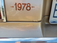 1978 Chevrolet Nova for sale in Michigan (ID-119278)