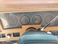 1978 Chevrolet Nova for sale in Michigan (ID-119278)