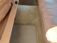 1978 Chevrolet Nova for sale in Michigan (ID-119278)