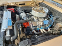 1978 Chevrolet Nova for sale in Michigan (ID-119278)