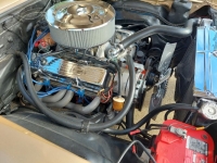 1978 Chevrolet Nova for sale in Michigan (ID-119278)