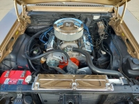 1978 Chevrolet Nova for sale in Michigan (ID-119278)