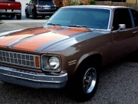 1978 Chevrolet Nova for sale in Michigan (ID-121995)