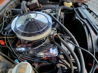 1978 Chevrolet Nova for sale in Michigan (ID-121995)