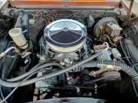1978 Chevrolet Nova for sale in Michigan (ID-121995)
