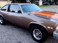 1978 Chevrolet Nova for sale in Michigan (ID-121995)