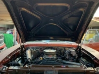 1978 Chevrolet Nova for sale in Michigan (ID-133804)