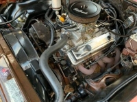 1978 Chevrolet Nova for sale in Michigan (ID-133804)