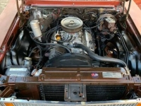 1978 Chevrolet Nova for sale in Michigan (ID-133804)