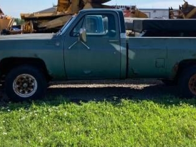 1978 Chevrolet Pickup for sale