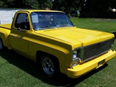 1978 Chevrolet Pickup for sale