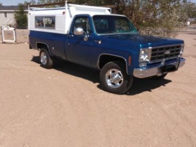 1978 Chevrolet Scottsdale for sale