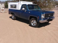 1978 Chevrolet Scottsdale for sale in Michigan (ID-146467)