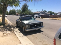 1978 Chevrolet Silverado for sale in Michigan (ID-101302)