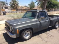 1978 Chevrolet Silverado for sale in Michigan (ID-101302)