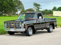 1978 Chevrolet Silverado for sale in Riverhead, New York (ID-121660)