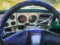 1978 Chevrolet Silverado for sale in Michigan (ID-131077)